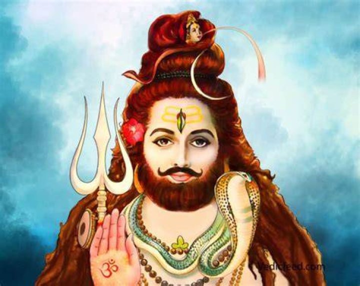 Brahmachari Avatar