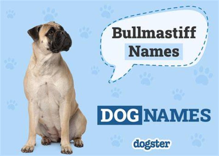 Bullmastiff Names