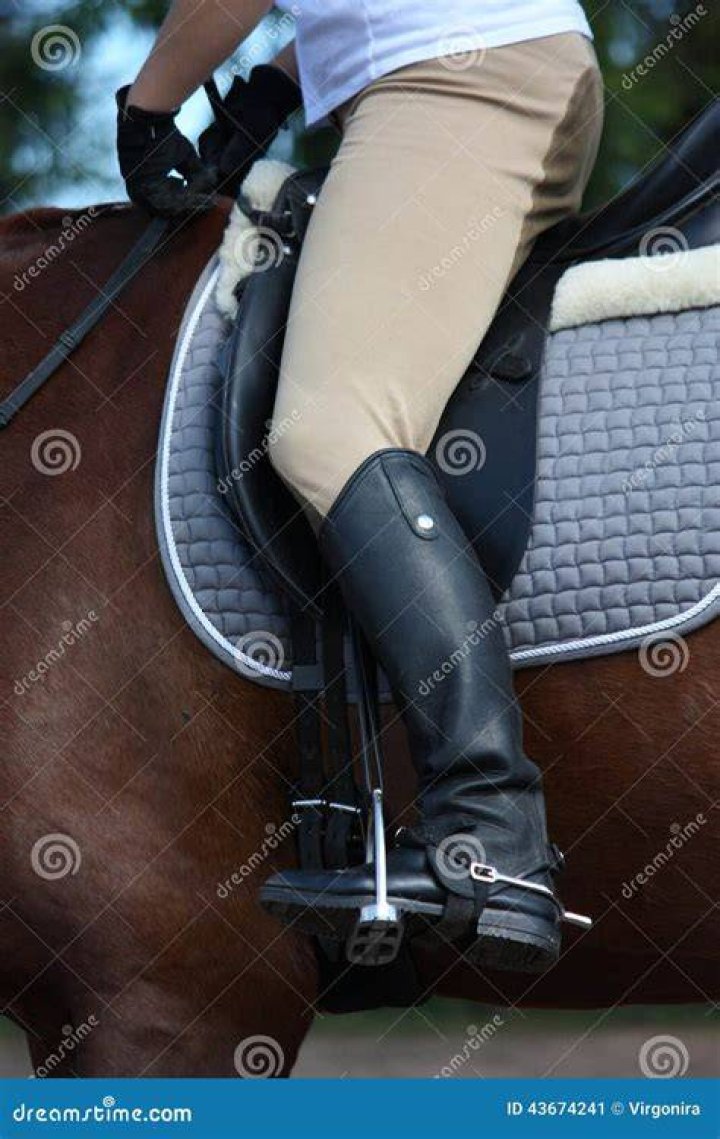 Close up of rider leg with disk spur on it on brown horse