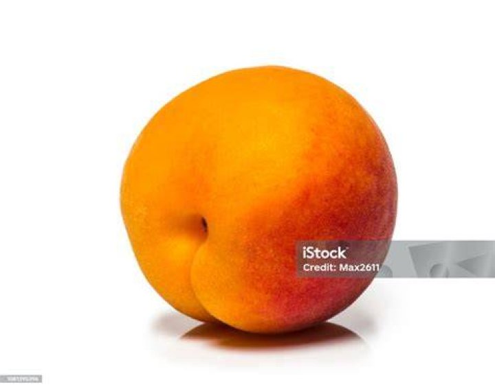 Close-up of a yellow-red apricot isolated on white Close-up of a yellow-red apricot isolated on white