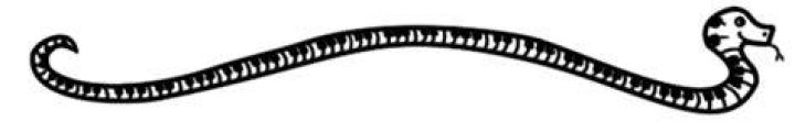 divider-snake