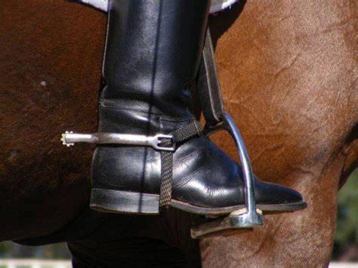 Do Spurs Hurt Horses? Is It Ethical? (Facts, & FAQ)