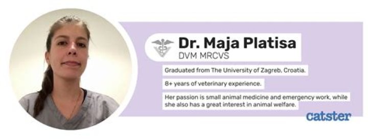 Dr. Maja Platisa Photo