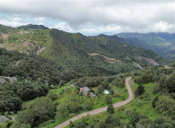 El Terreno Programs & Reviews