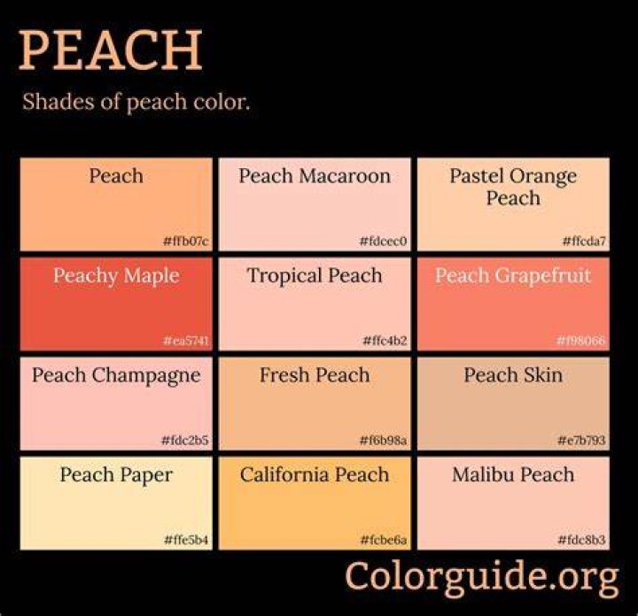 Fresh Peach on Peach Colored Background fresh peach on peach colored background