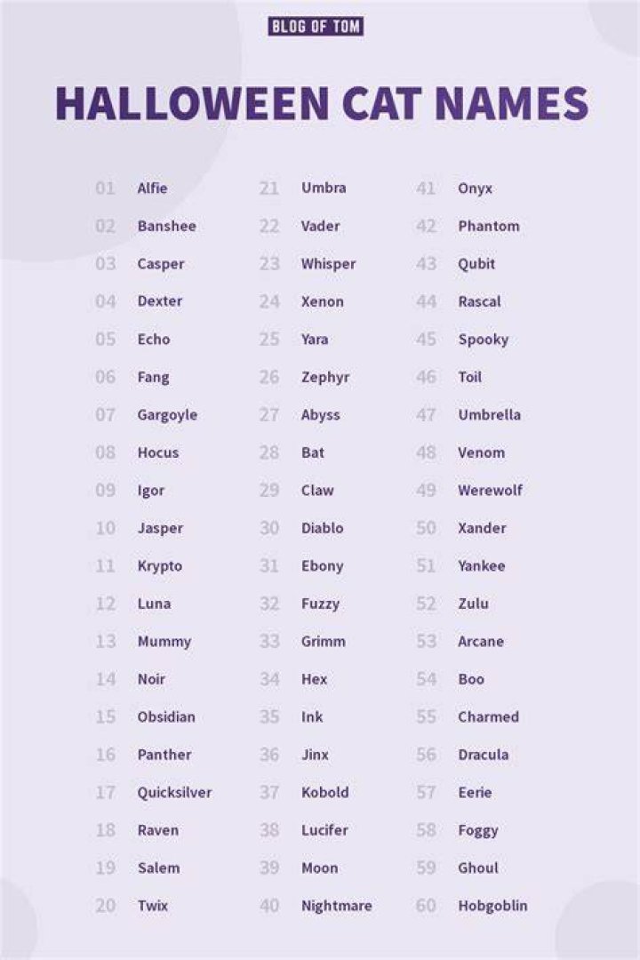 Halloween Cat Names