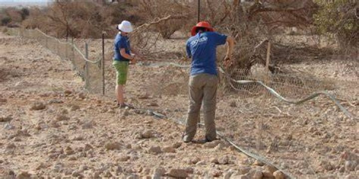 Israel - Desert Wildlife Program
