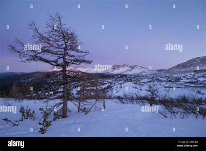 Kuznetskiy Alatau, South Siberia