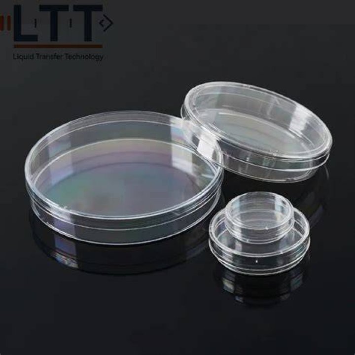 petri dish