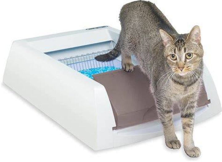 PetSafe ScoopFree Original