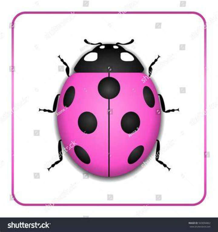 pink bug