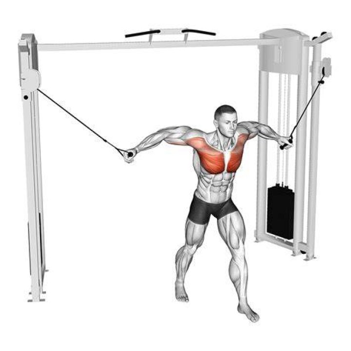 preview for Cable Fly | Form Check