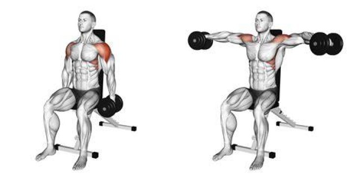Video player poster image preview for seated lateral raise