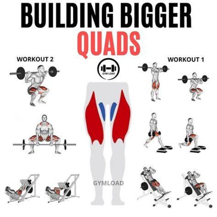 quad exercises quad exercises