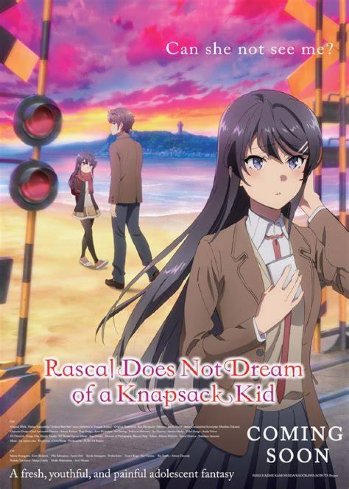 Rascal Does Not Dream of Bunny Girl Senpai Sequel Poster