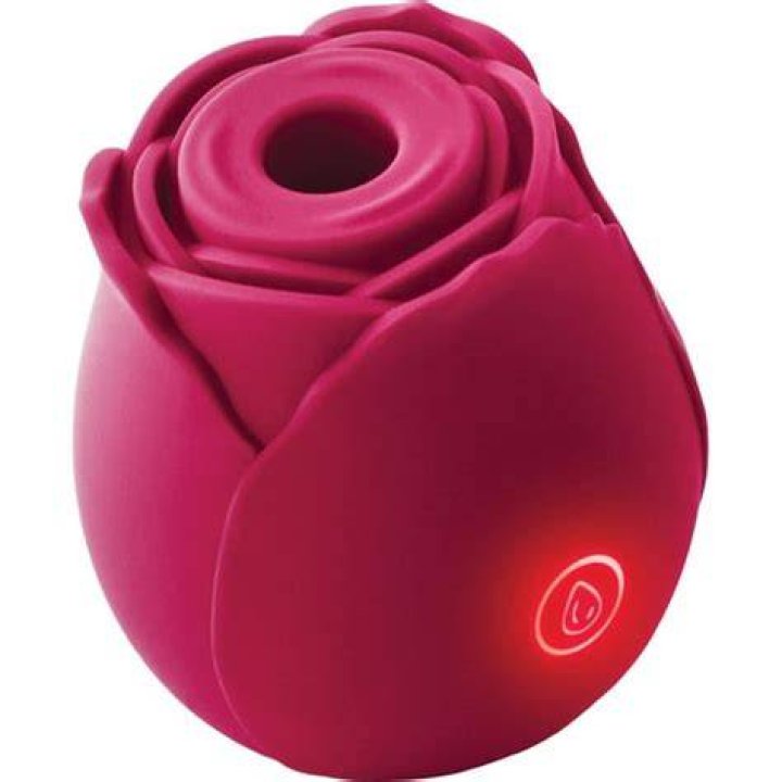Rose Rabbit Vibrator Rose Rabbit Vibrator