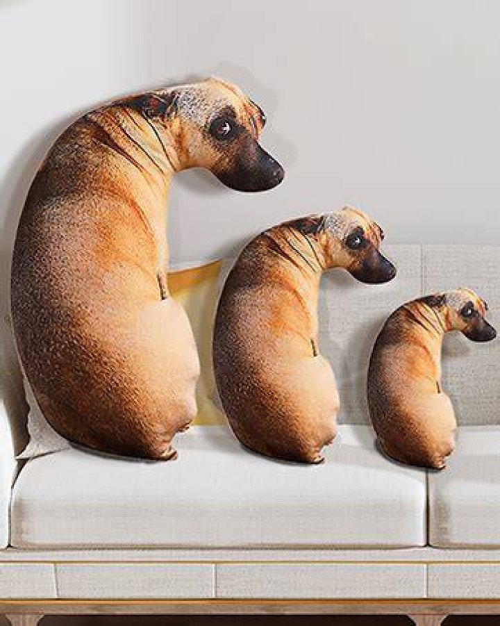 sad dog on pillow