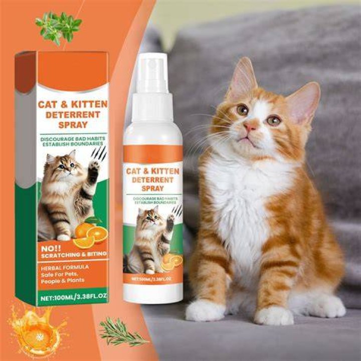 spraying a cat repellant in the house