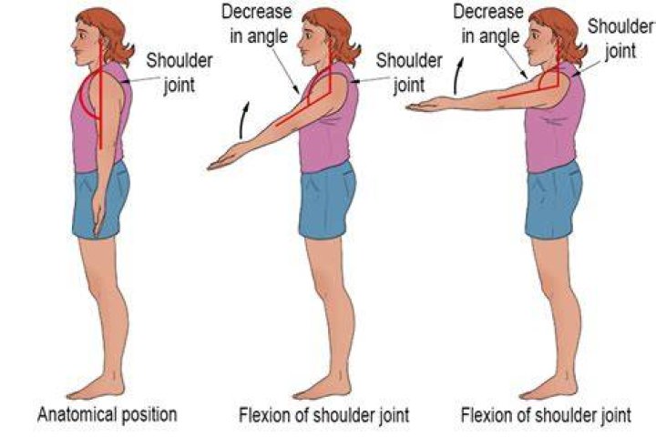 Standing, Arm, Shoulder, Joint, Hand, Fun, Gesture, Muscle, Photography, Happy, Standing, Arm, Shoulder, Joint, Hand, Fun, Gesture, Muscle, Photography, Happy,