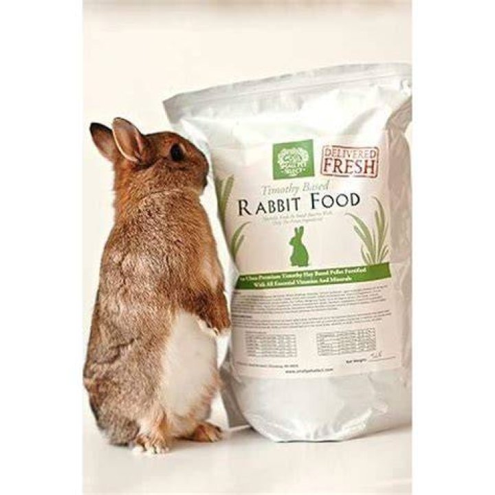 submit a pet pk rabbit