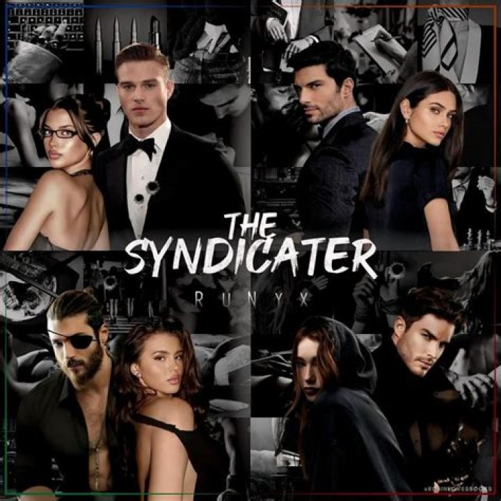 Syndicator logo