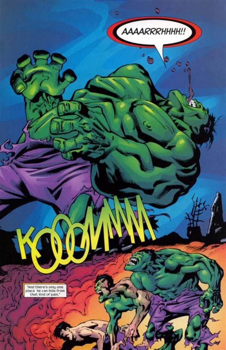 The Punisher Kills Hulk