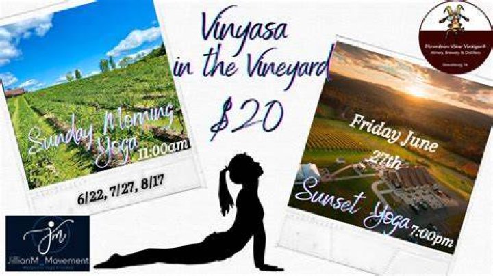 Vinyasa in the Vineyard