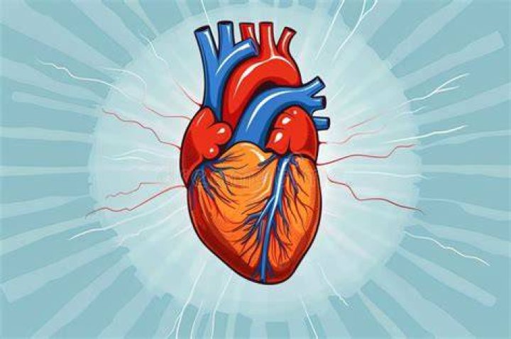 Vivid Drawing of a Heart Opened to Show a Damaged Mitral Valve