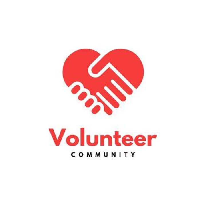 volunteer in the visayas logo