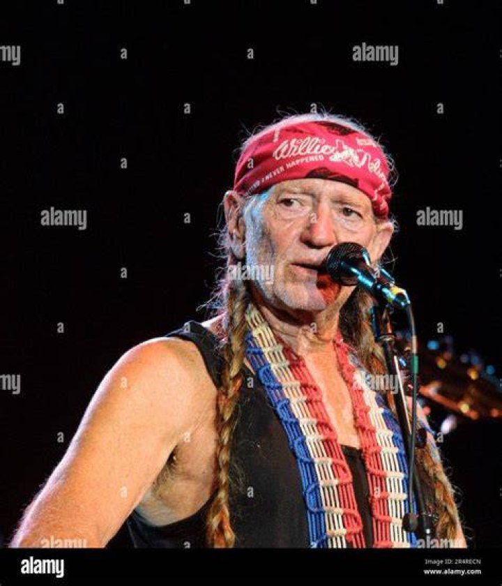 Willie Nelson performs The Rainbow Connection at the 53rd annual CMA Awards in Nashville. Photo / AP.