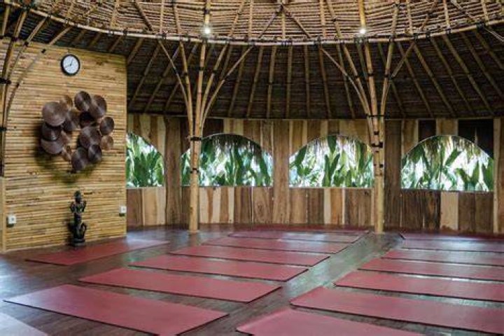 Yoga in the Barn